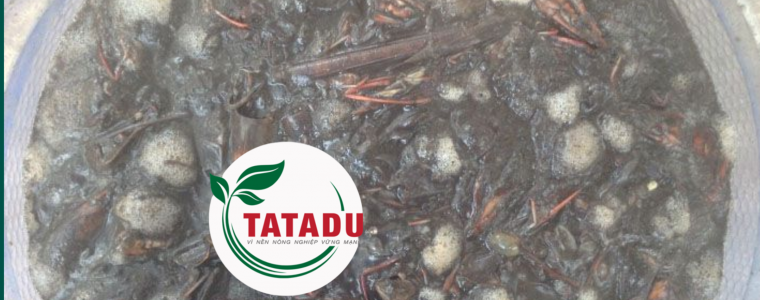 KY THUAT U PHAN BANG CHE PHAM EM PAKY THUAT U PHAN BANG CHE PHAM EM – PHAN CAAN CHUONG