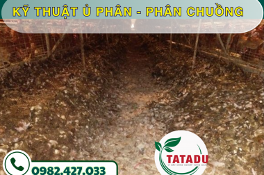 KỸ THUẬT Ủ PHÂN – PHÂN CHUỒNG – CÔNG TY TNHH TATADU