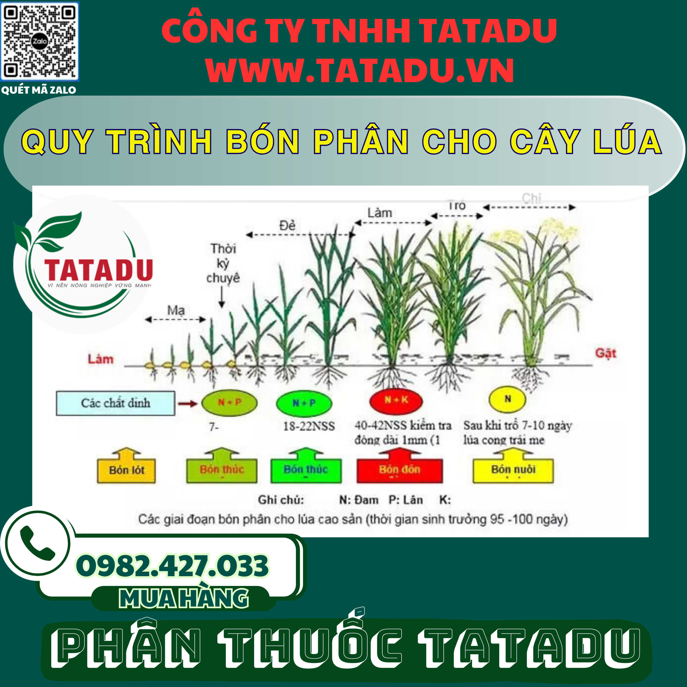 QUY TRINH BON PHAN CHO CAY LUA