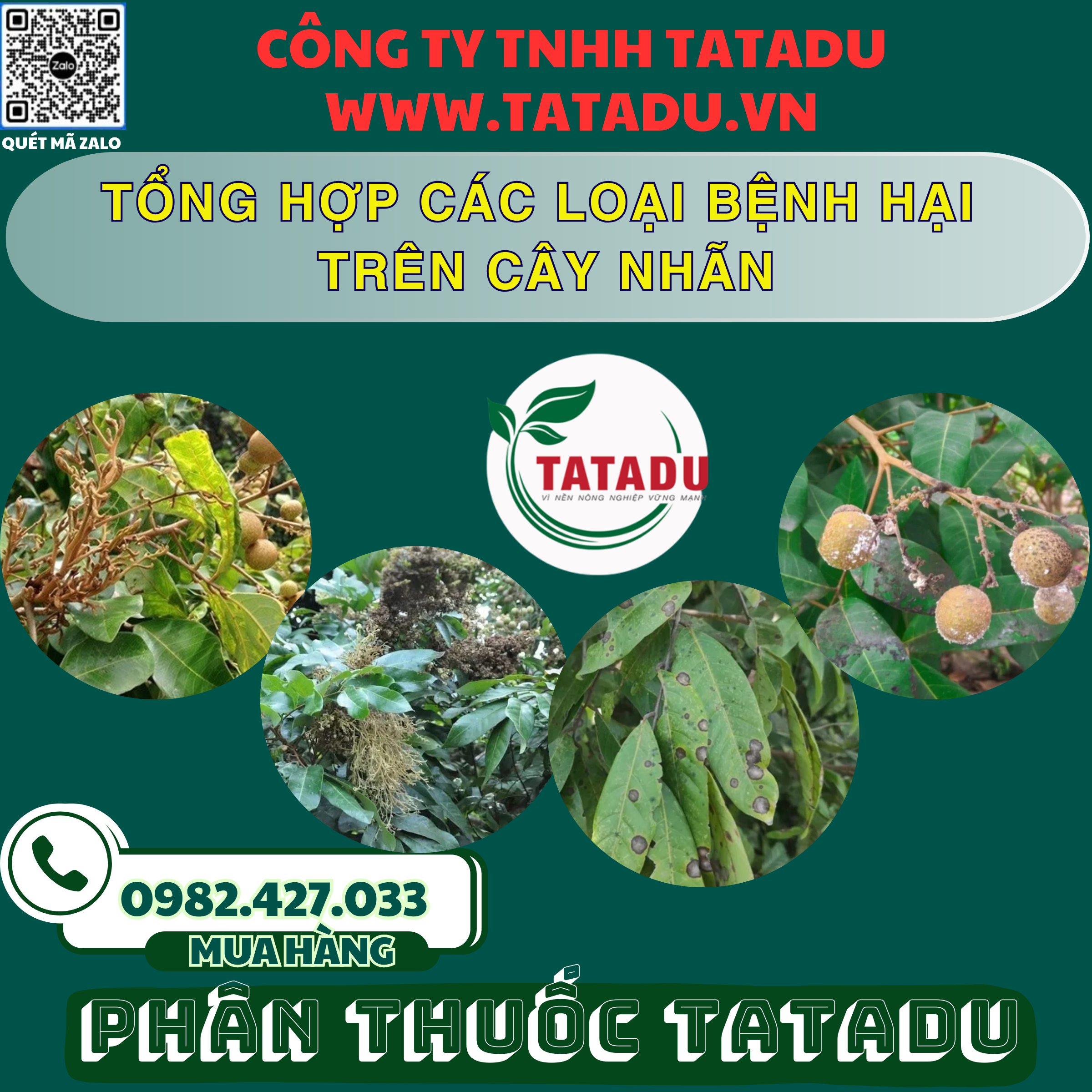 TONG HOP CAC LOAI BENH HAI TREN CAY NHAN
