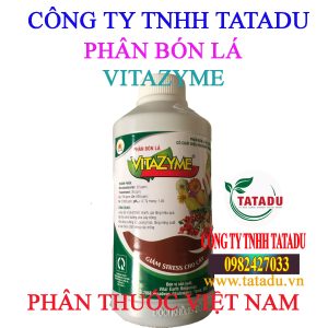 VITAZYME