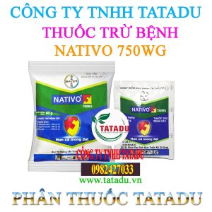NATIVO 750WG