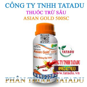 ASIAN GOLD 500SC HP