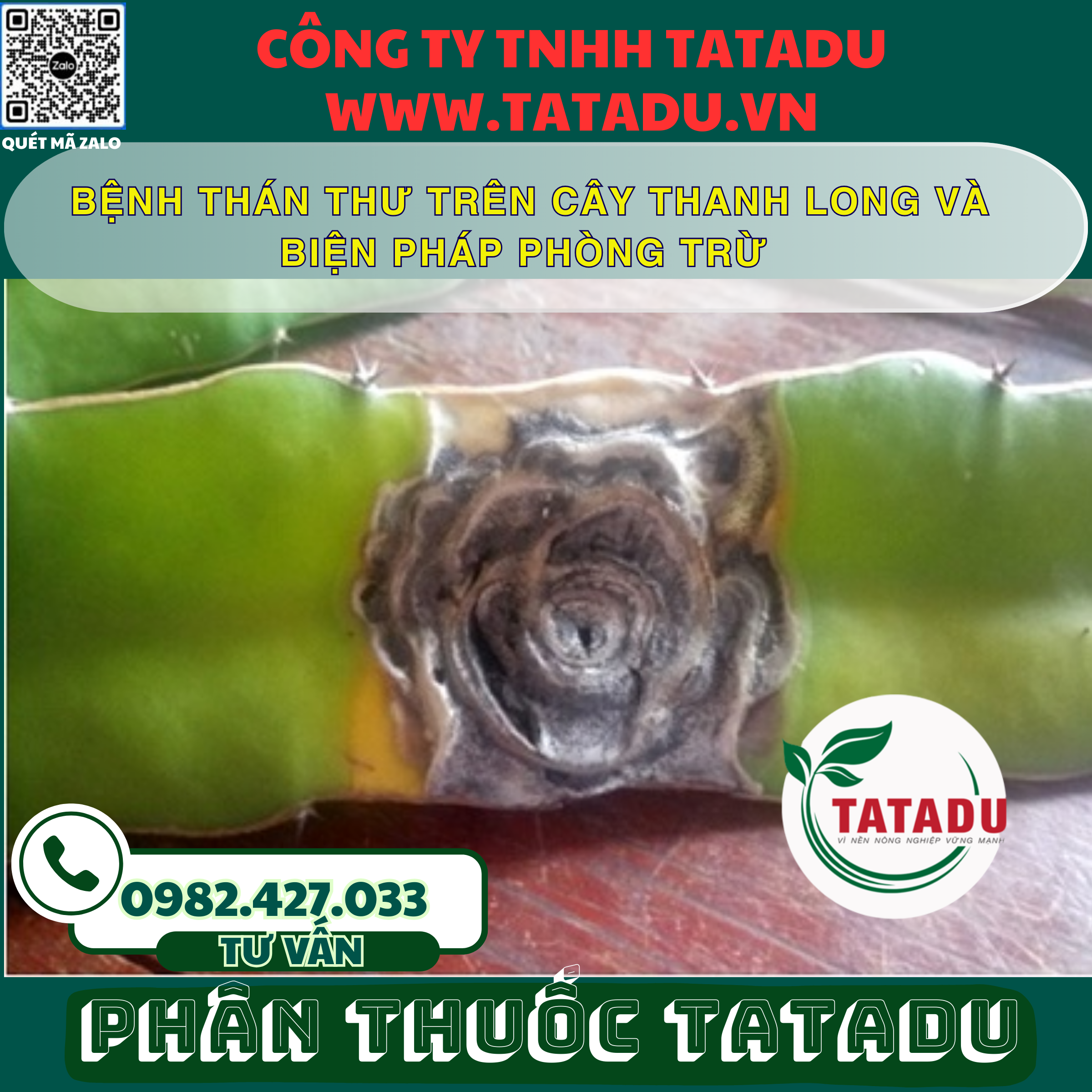 BENH THAN THU TREN CAY THANH LONG VA BIEN PHAP PHONG TRU
