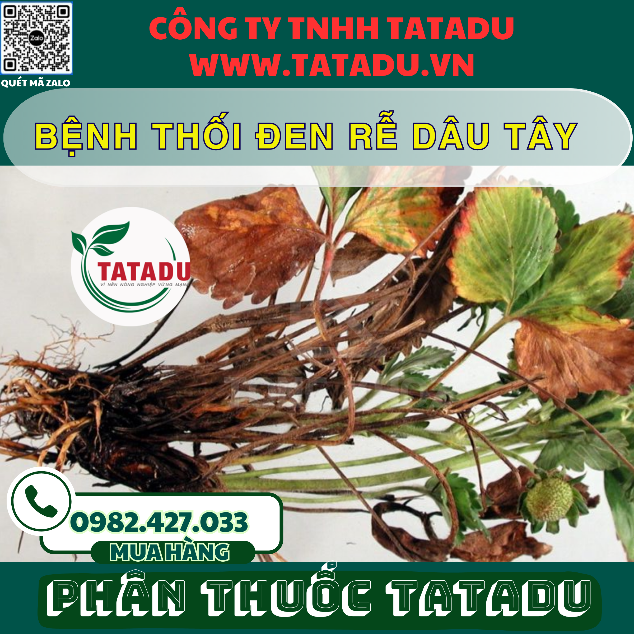 BENH THOI DEN RE DAU TAY