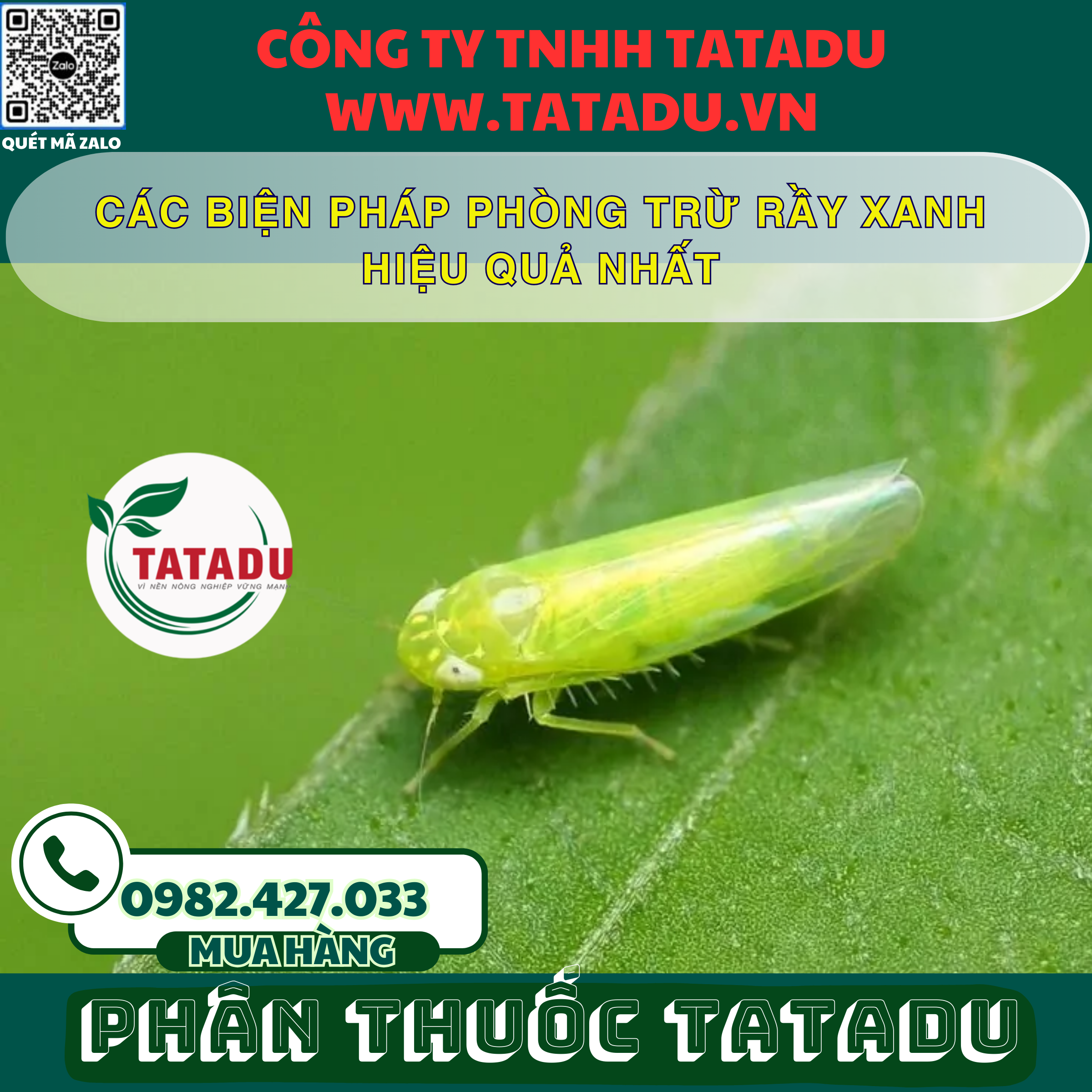 CAC BIEN PHAP PHONG TRU RAY XANH HIEU QUA NHAT