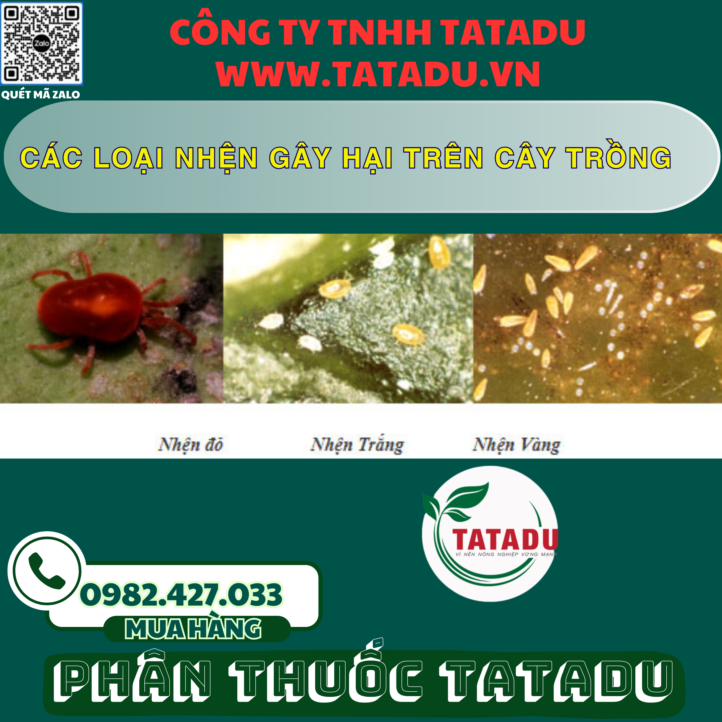 CAC LOAI NHEN GAY HAI TREN CAY TRONG