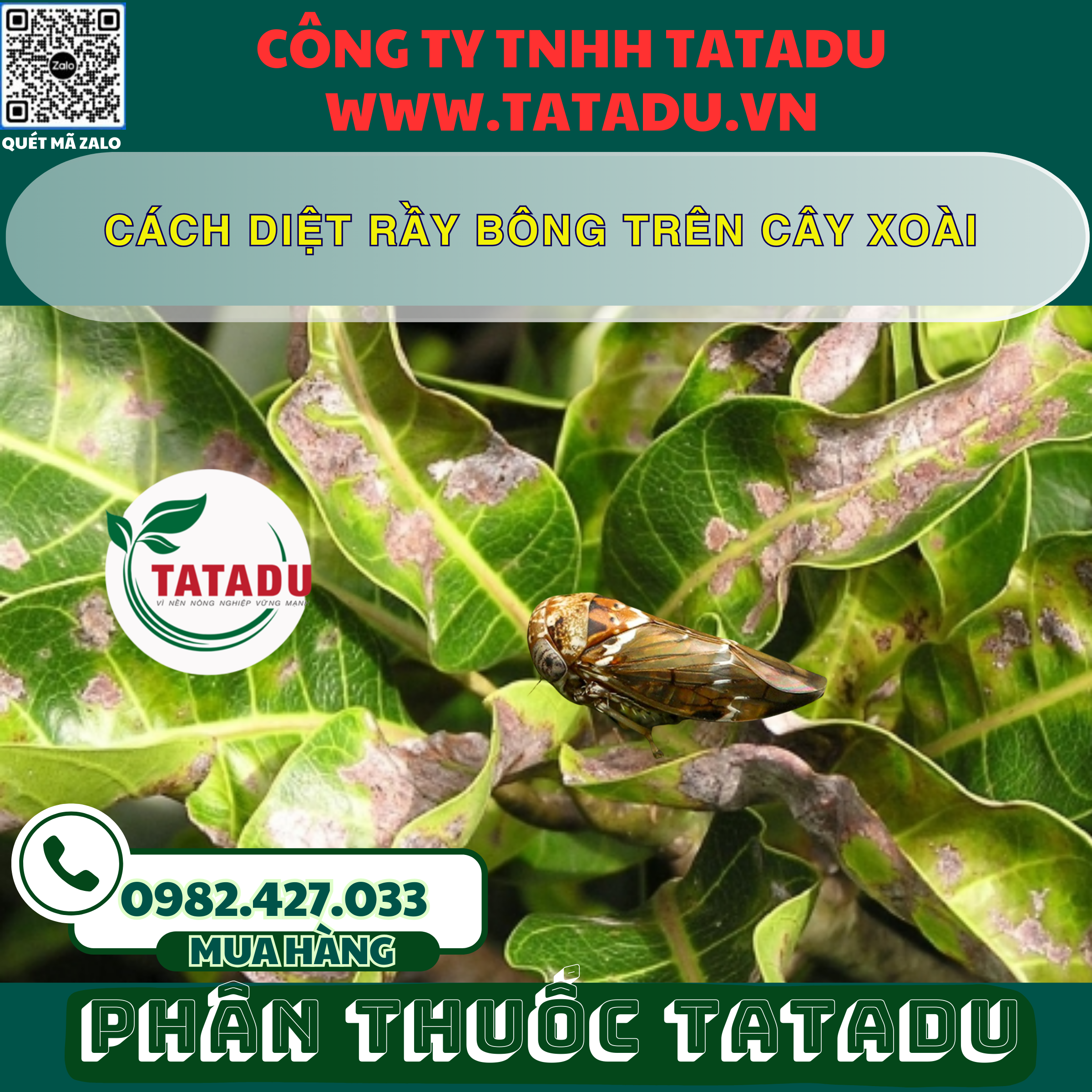 CACH DIET RAY BONG TREN CAY XOAI