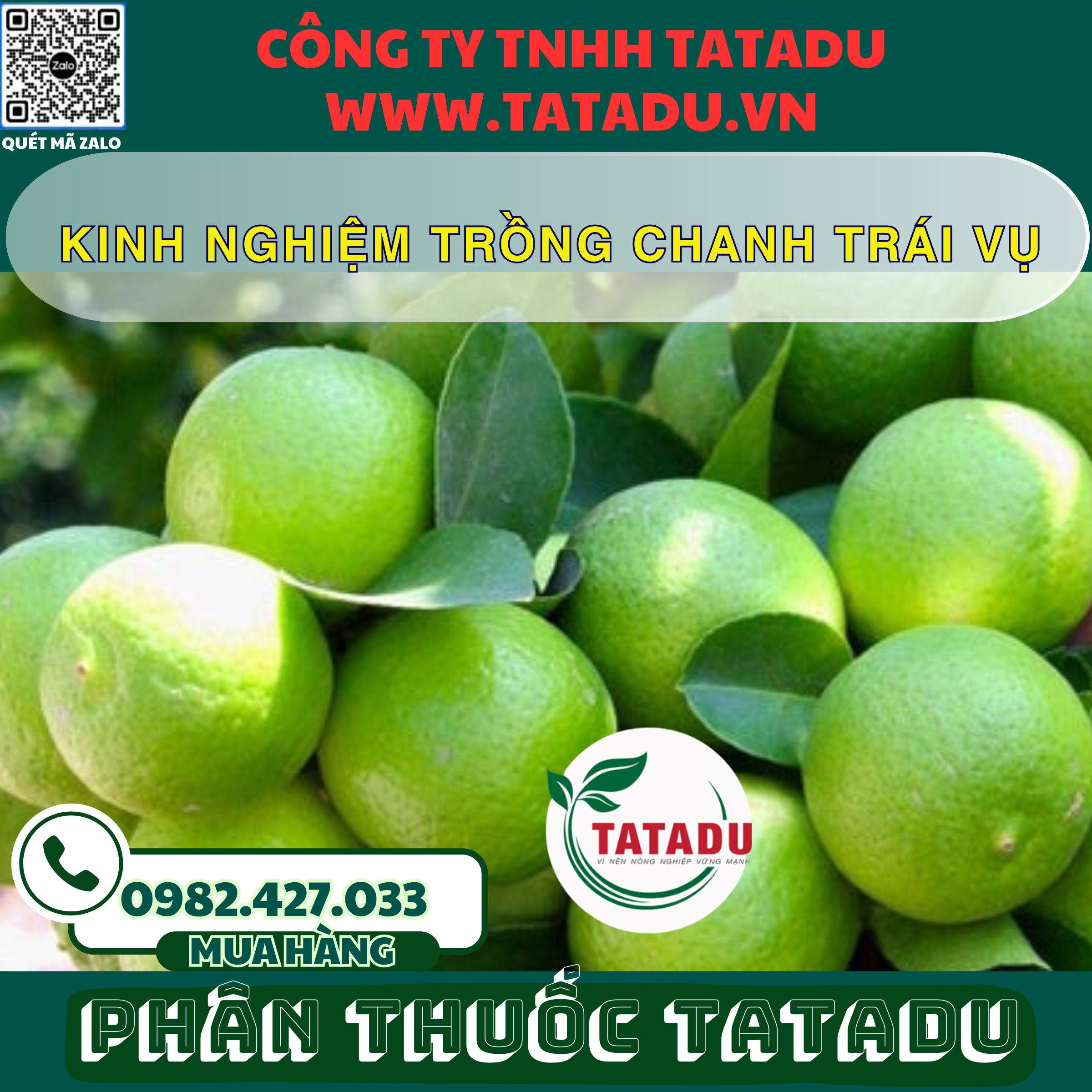 KINH NGHIEM TRONG CHANH TRAI VU