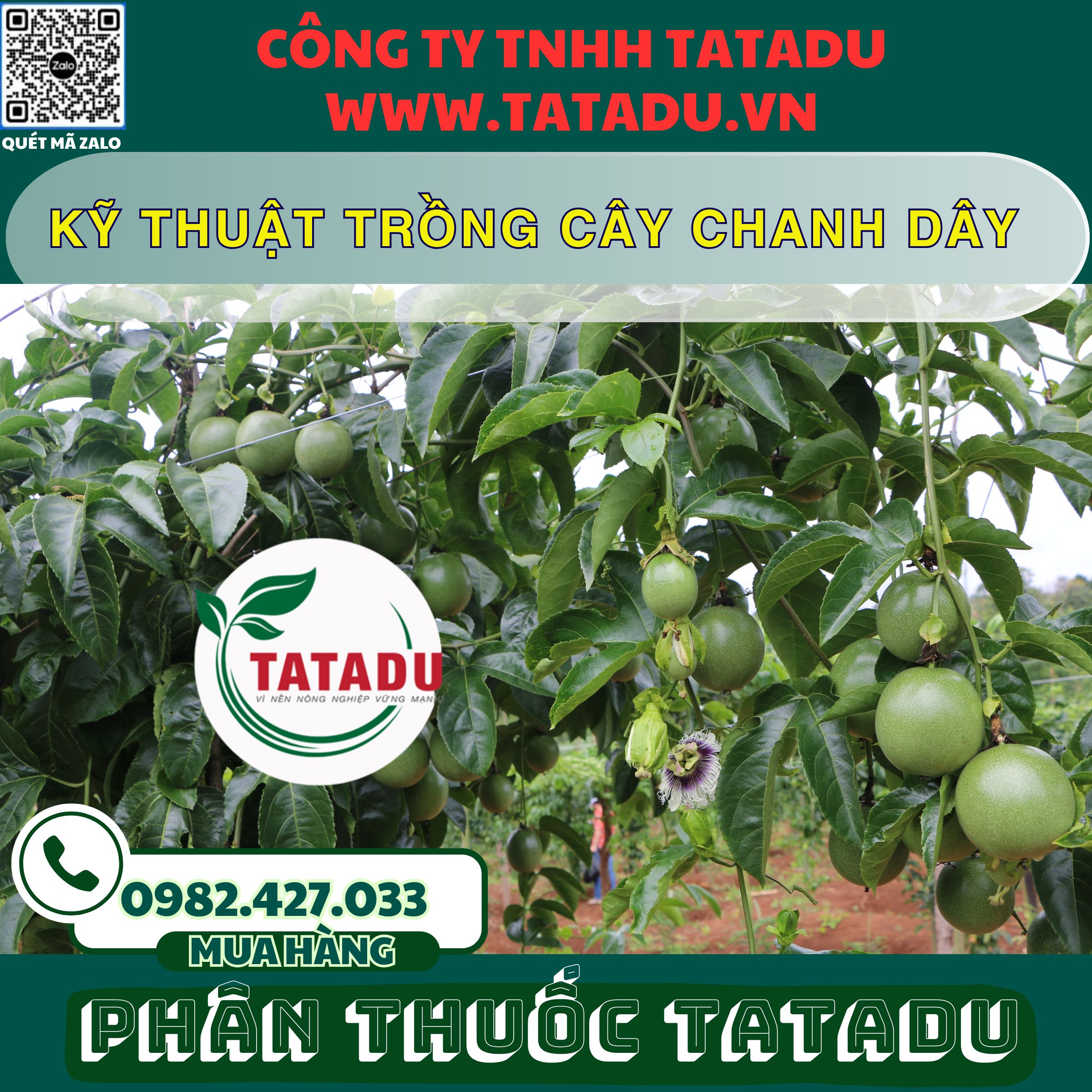 KY THUAT TRONG CAY CHANH DAY