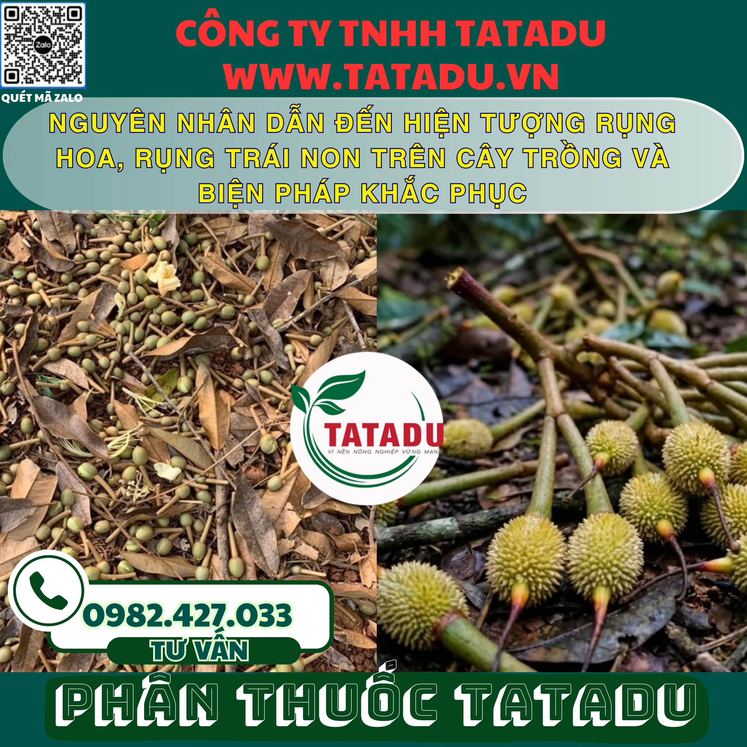 NGUYEN NHAN DAN DEN HIEN TUONG RUNG HOA RUNG TRAI NON TREN CAY TRONG VA BIEN PHAP KHAC PHUC