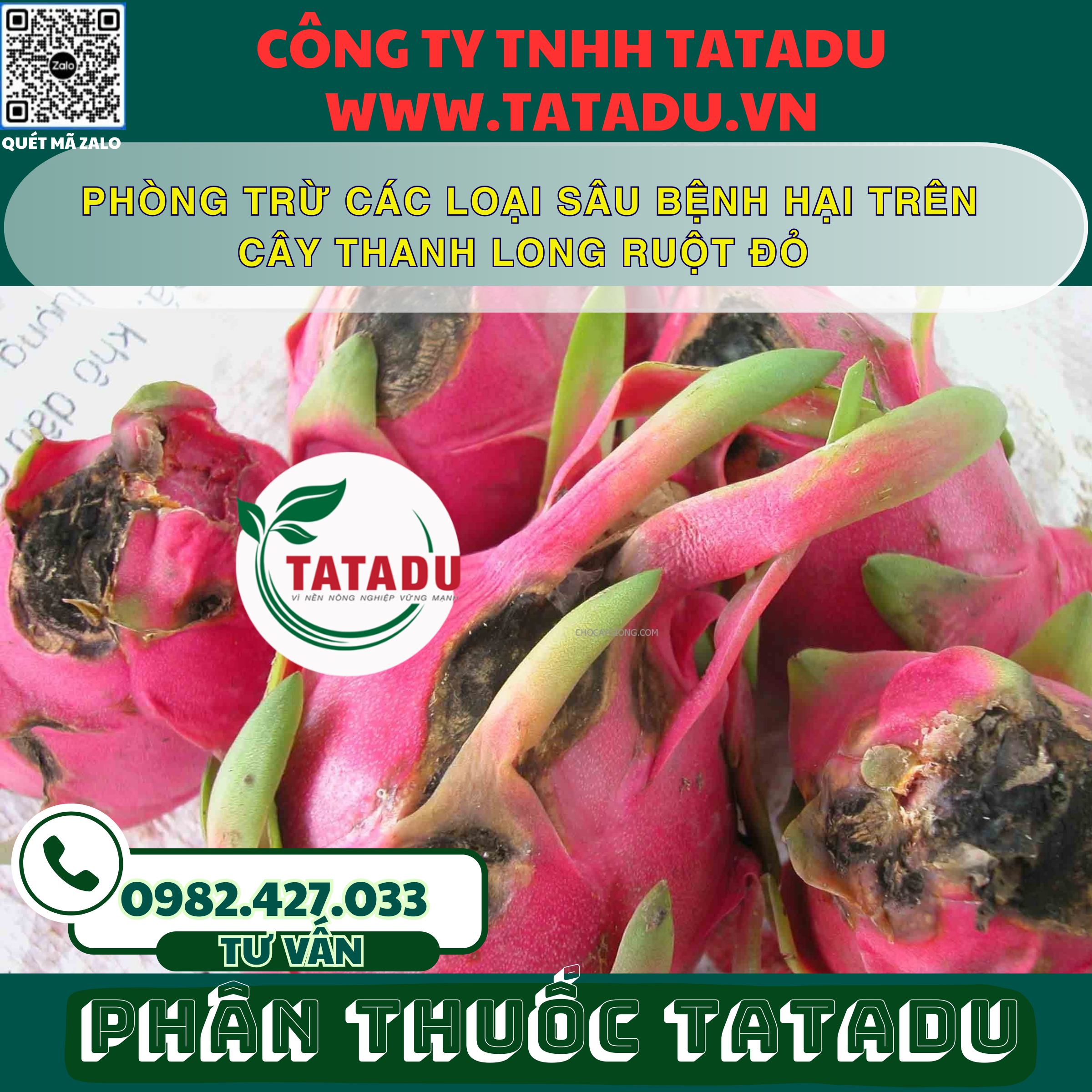 PHONG TRU CAC LOAI SAU BENH HAI TREN CAY THANH LONG RUOT DO