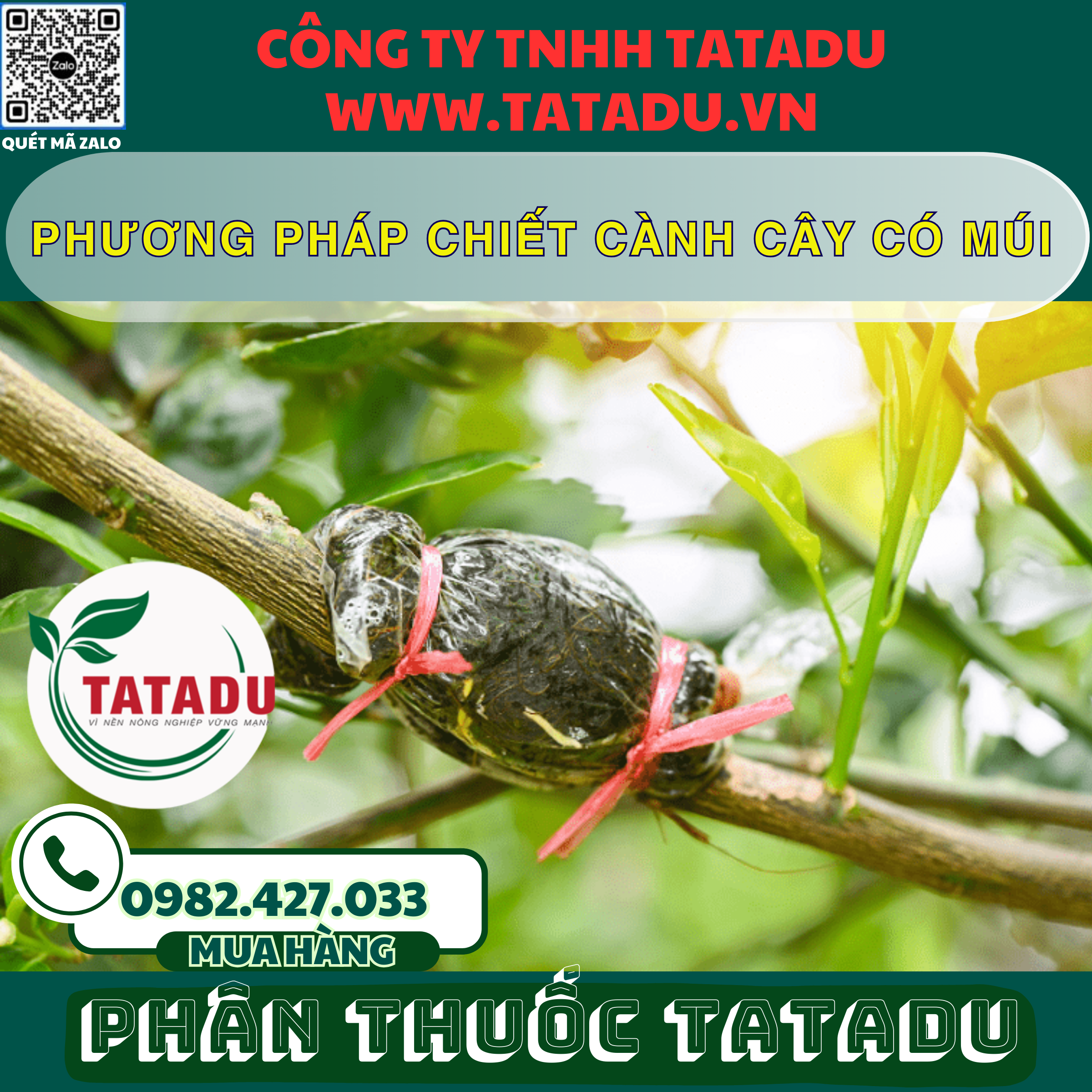 PHUONG PHAP CHIET CANH CAY CO MUI