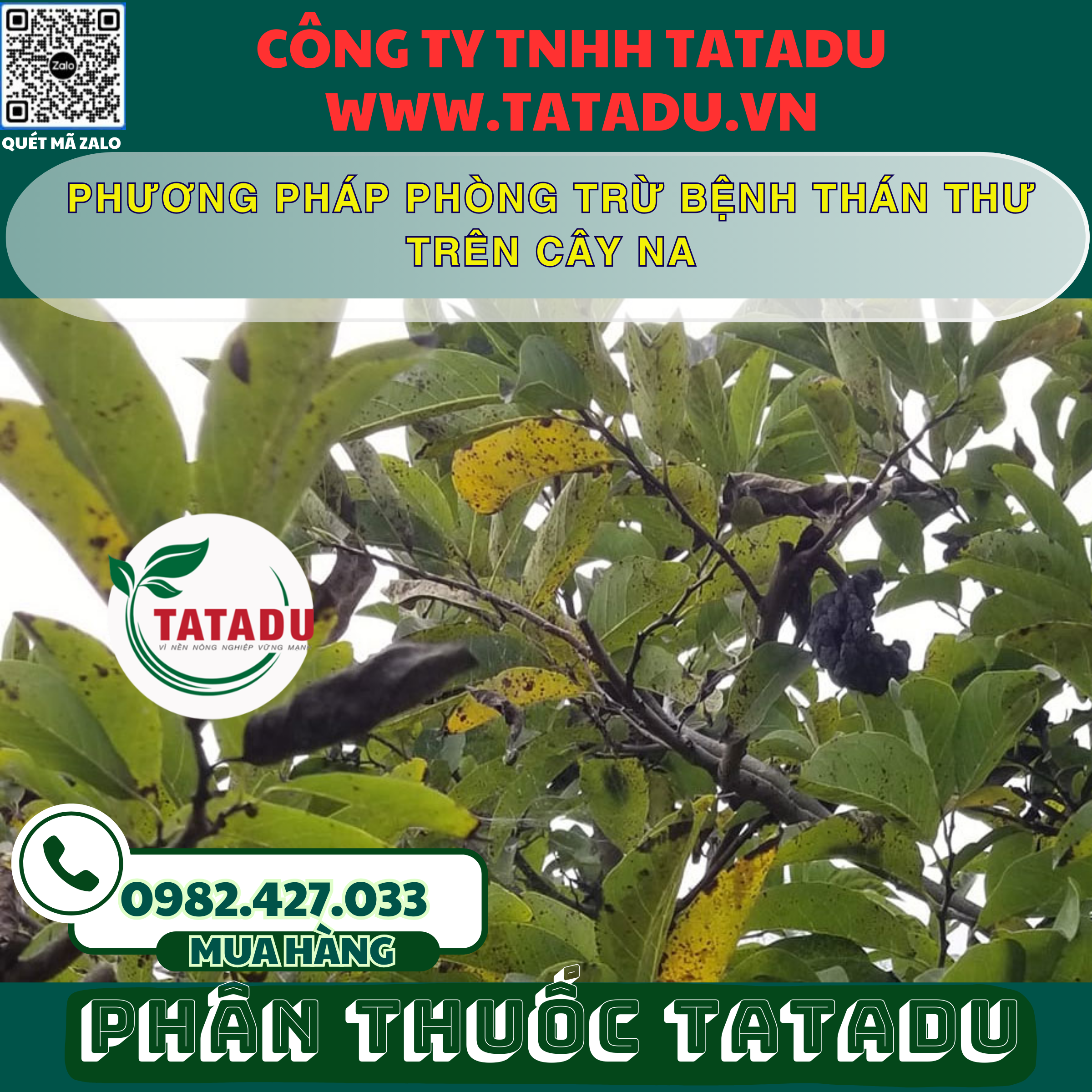 PHUONG PHAP PHONG TRU BENH THAN THU TREN CAY NA
