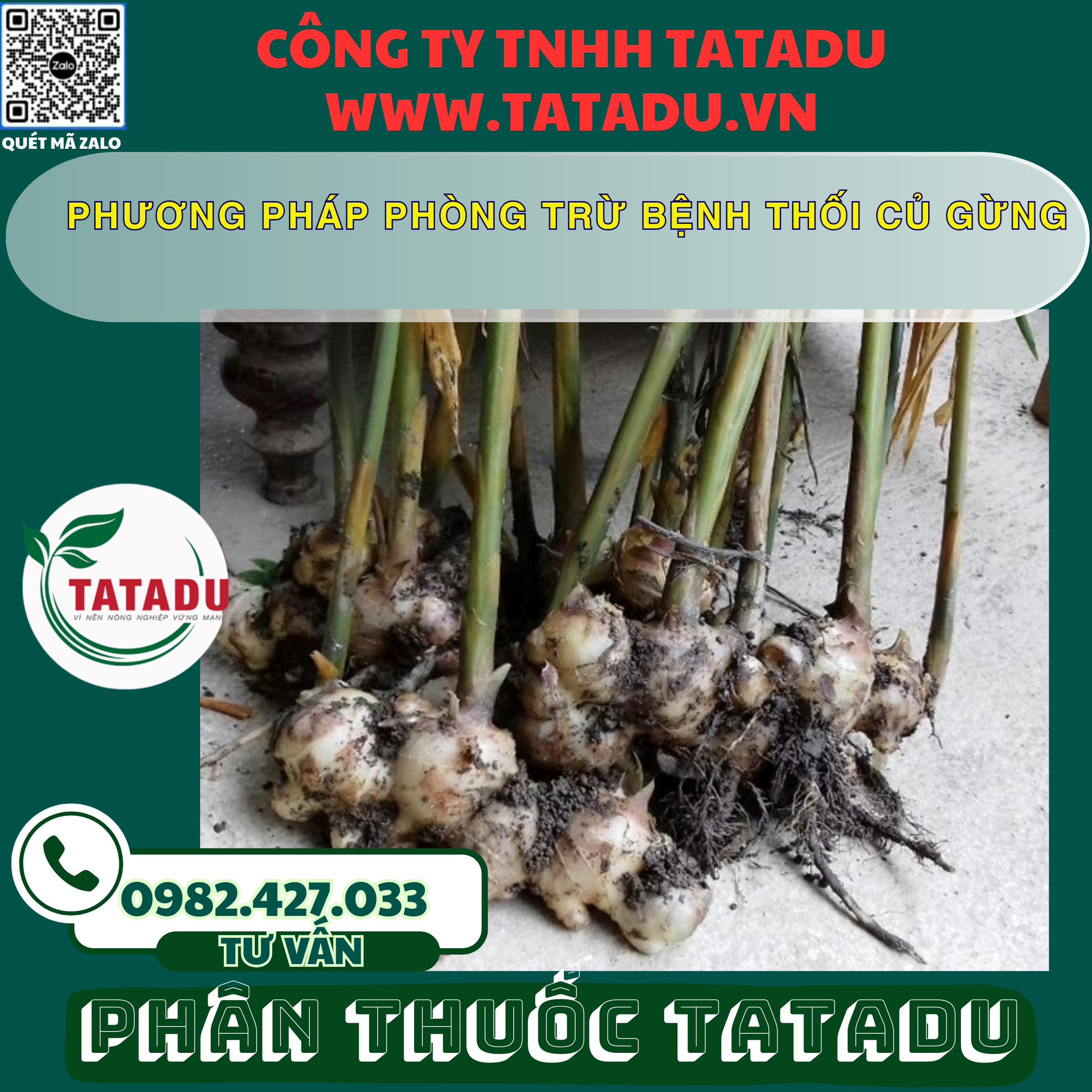PHUONG PHAP PHONG TRU BENH THOI CU GUNG