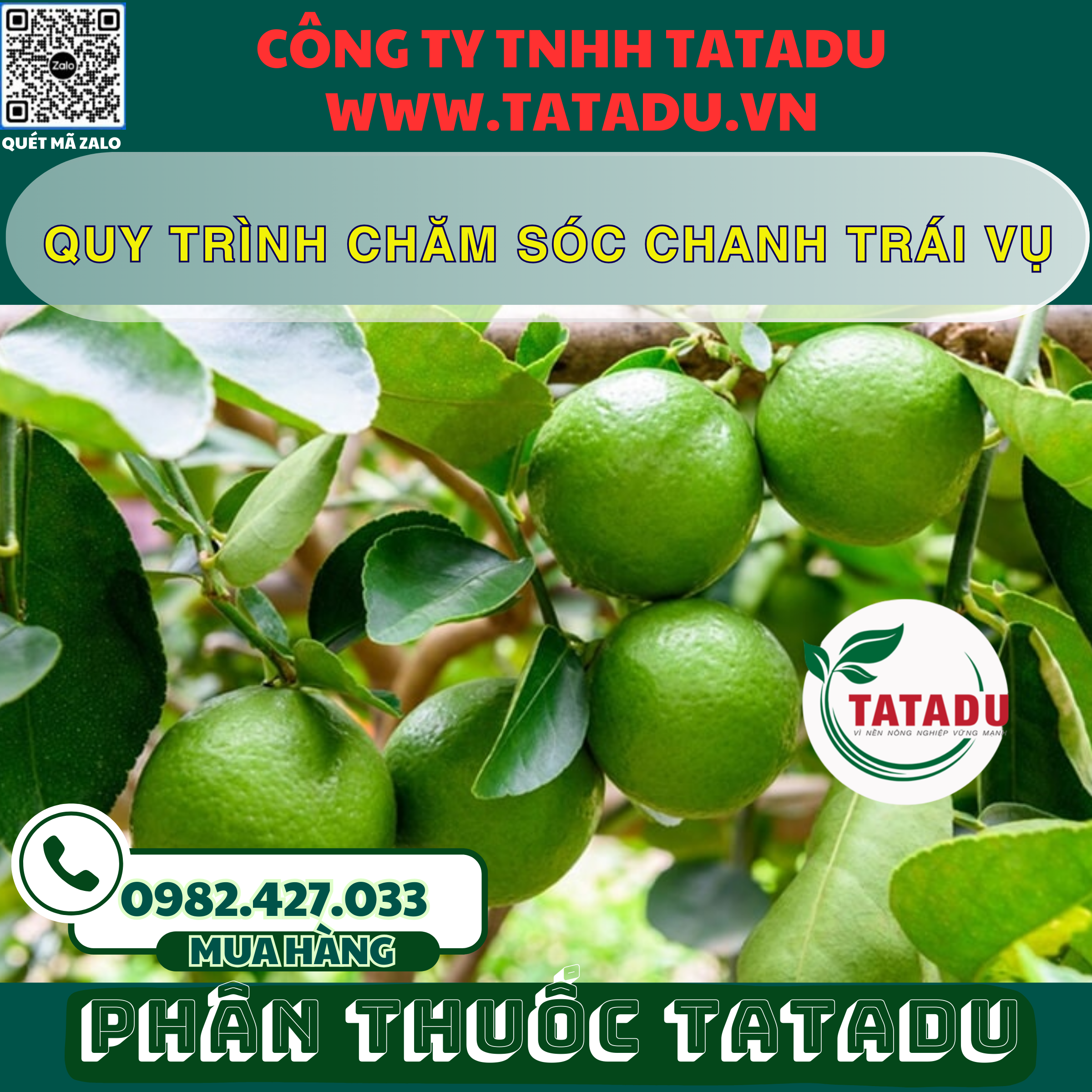 QUY TRINH CHAM SOC CHANH TRAI VU