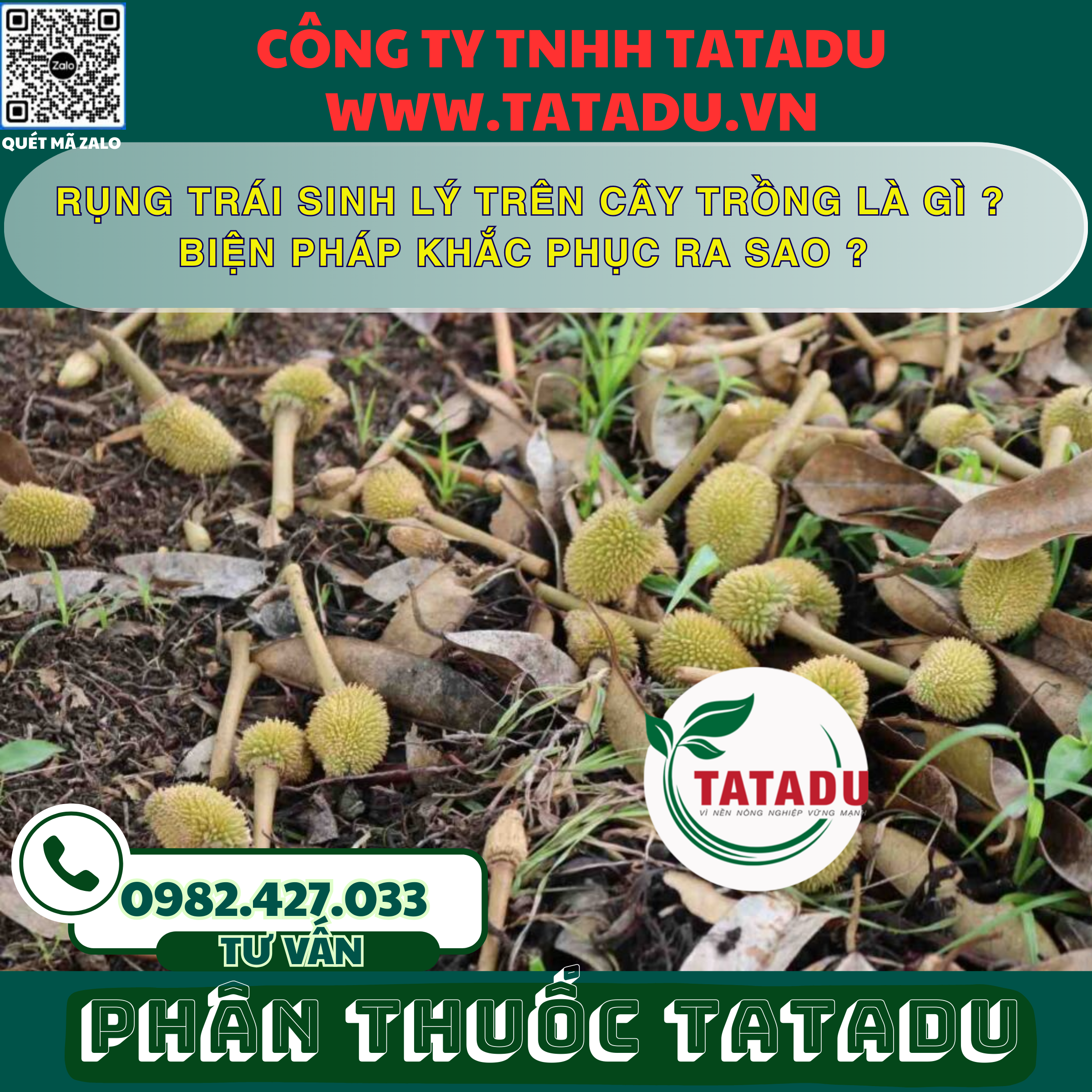 RUNG TRAI SINH LY TREN CAY TRONG LA GI BIEN PHAP KHAC PHUC RA SAO RUNG TRAI SINH LY TREN CAY TRONG LA GI BIEN PHAP KHAC PHUC RA SAO