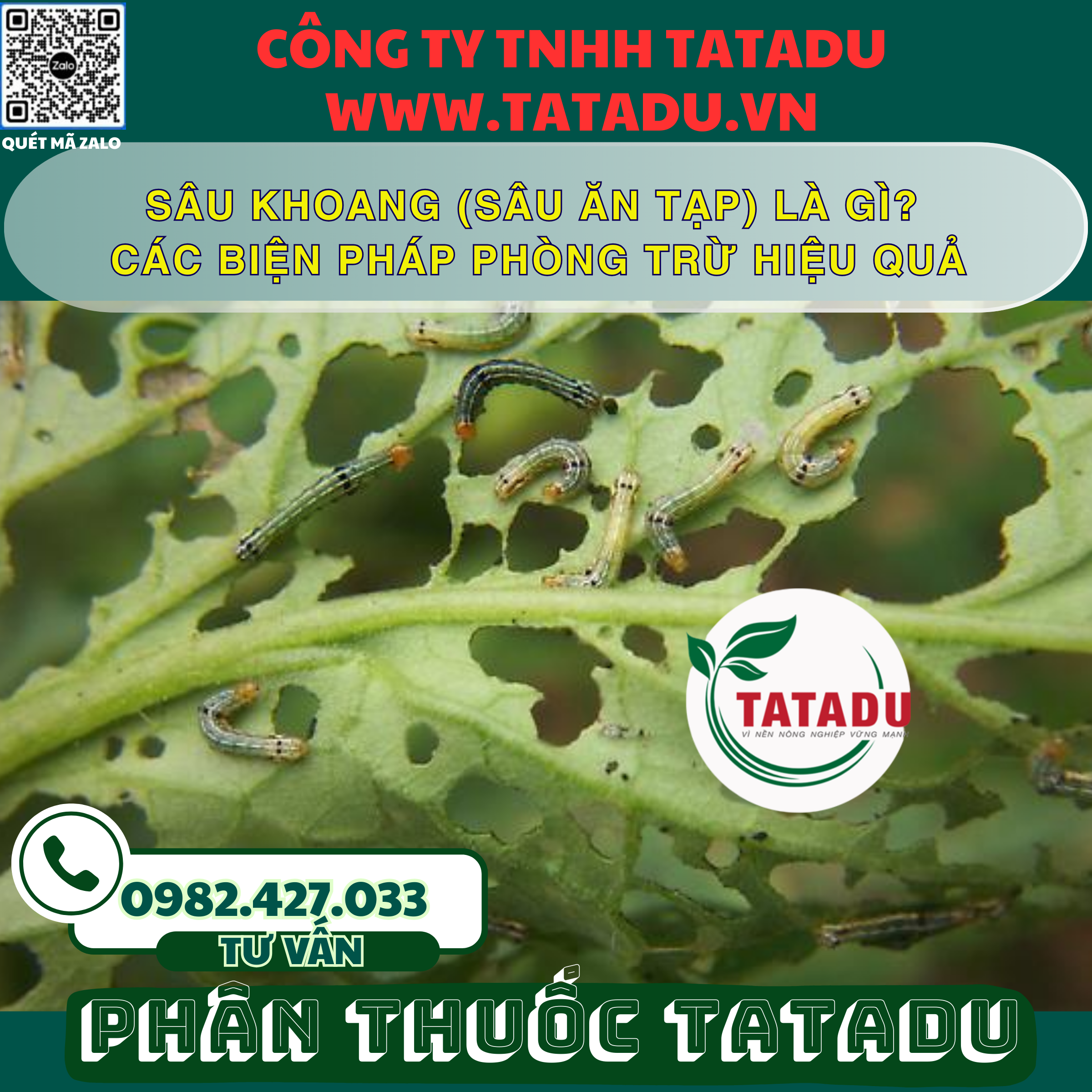 SAU KHOANG SAU AN TAP LA GI CAC BIEN PHAP PHONG TRU HIEU QUA