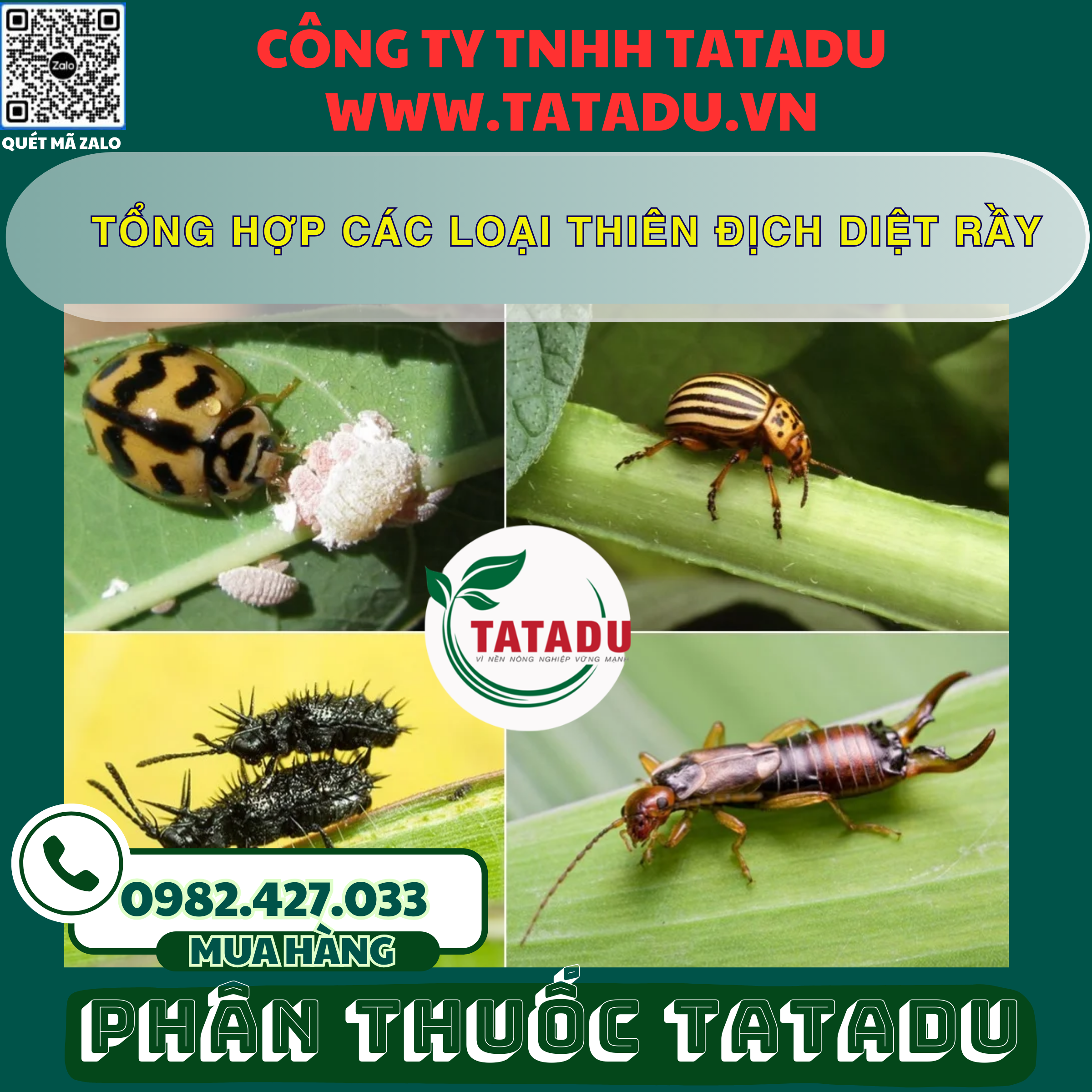 TONG HOP CAC LOAI THIEN DICH DIET RAY TONG HOP CAC LOAI THIEN DICH DIET RAY