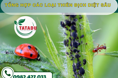 TỔNG HỢP CÁC LOẠI THIÊN ĐỊCH DIỆT SÂU – CÔNG TY TNHH TATADU