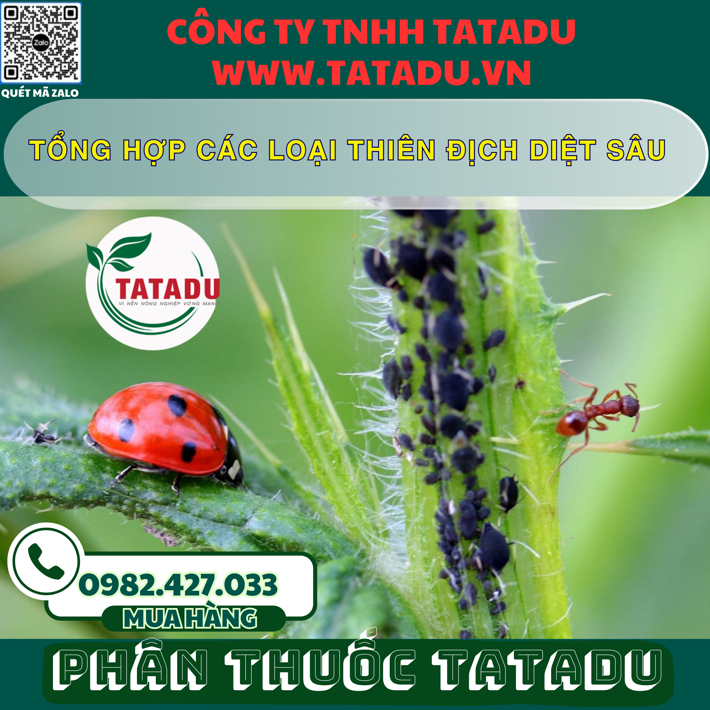 TONG HOP CAC LOAI THIEN DICH DIET SAU