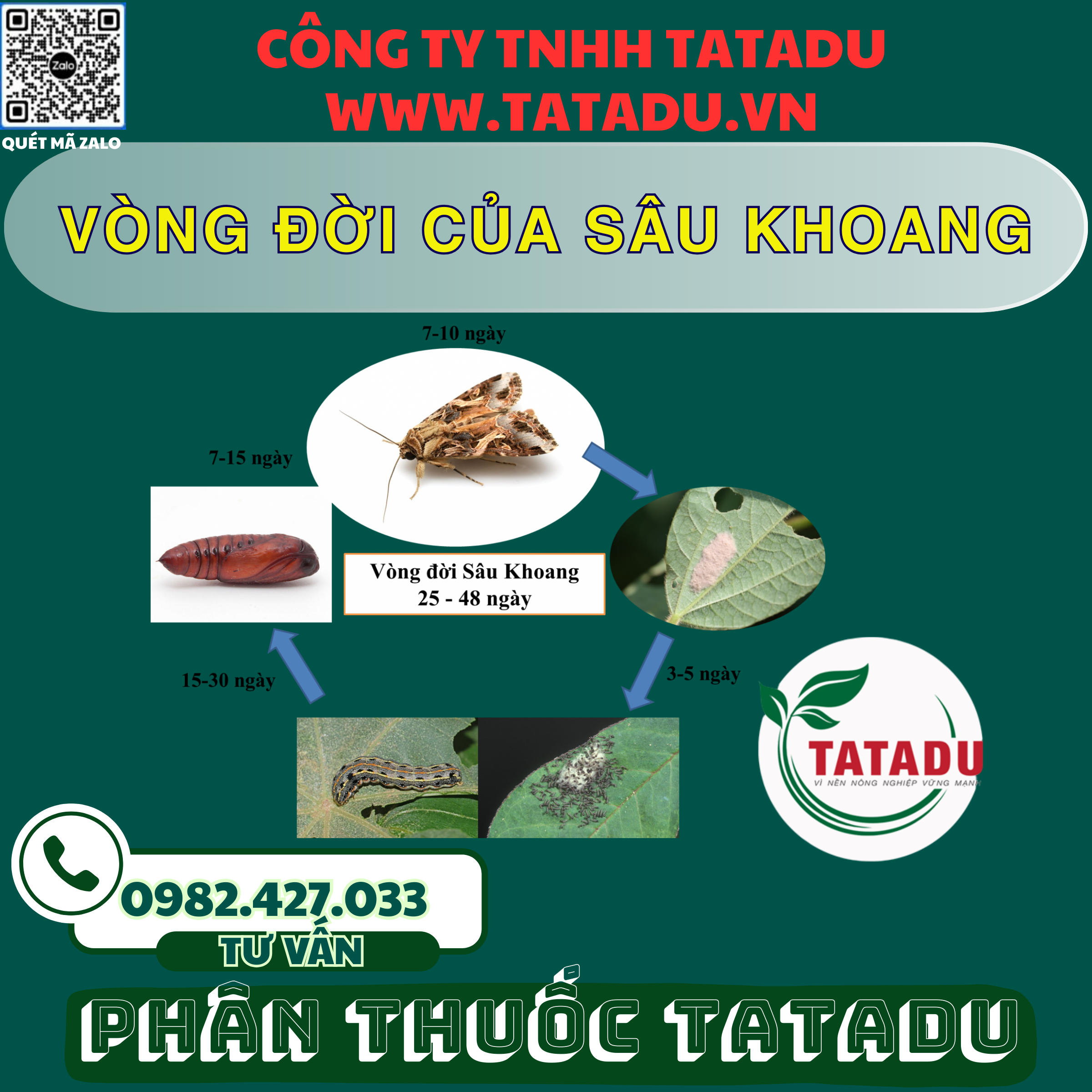 VONG DOI CUA SAU KHOANG