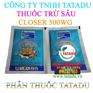 CLOSER 500WG