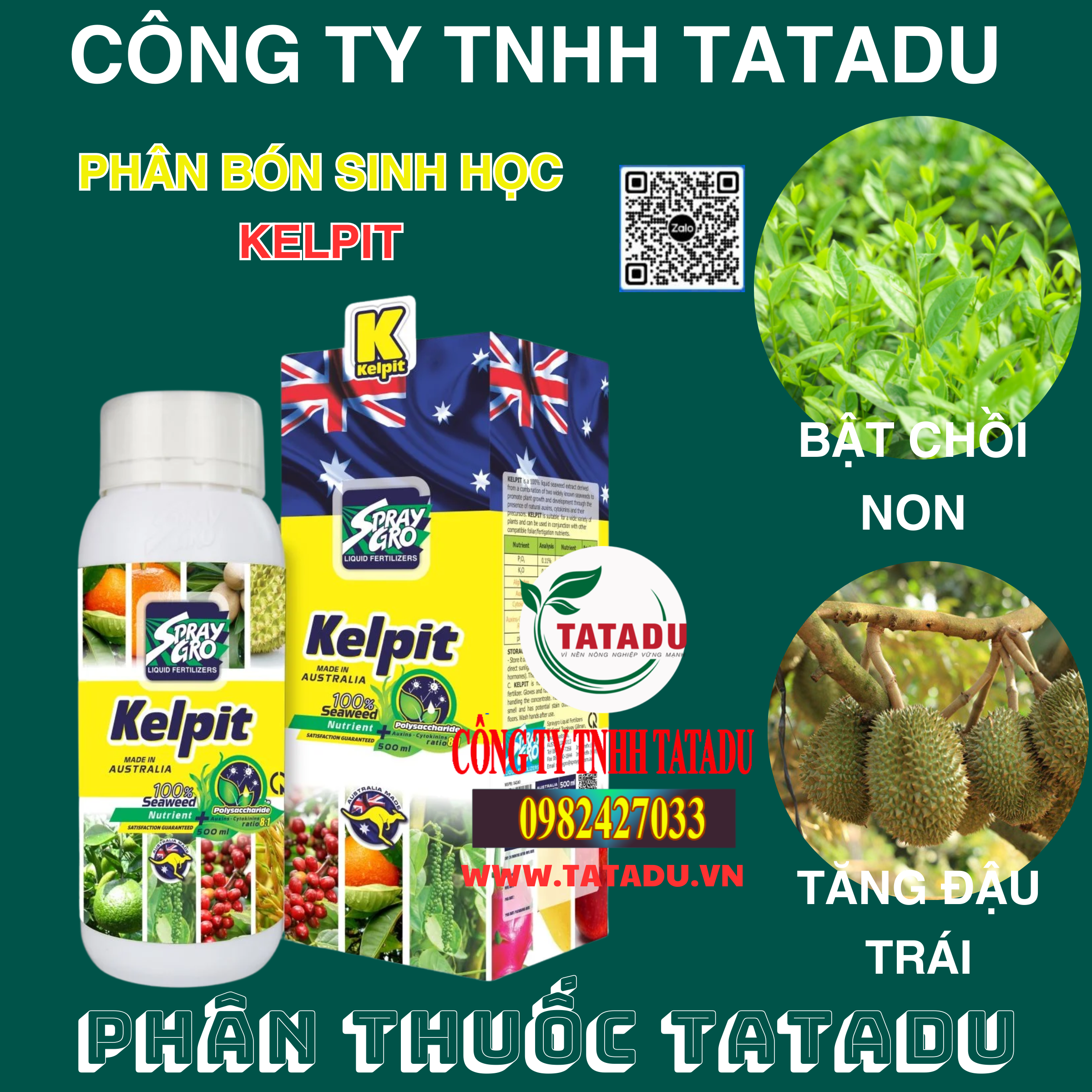 KELPIT GIUP CAY BAT CHOI NON TANG DAU TRAI KELPIT GIUP CAY BAT CHOI NON TANG DAU TRAI