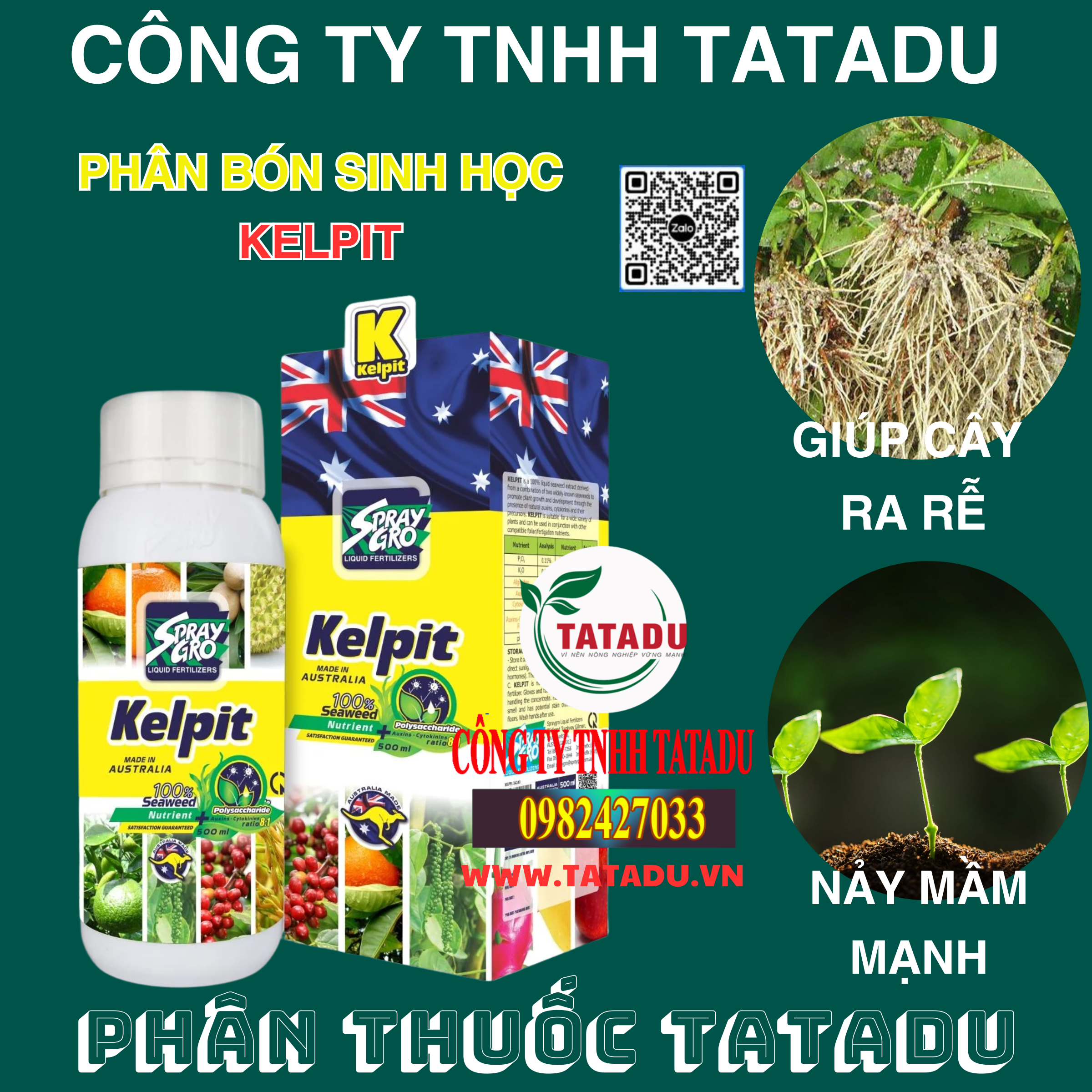 KELPIT GIUP CAY RA RE NAY MAM MANH KELPIT GIUP CAY RA RE NAY MAM MANH