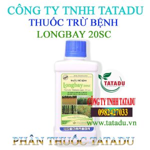 LONGBAY 20SC