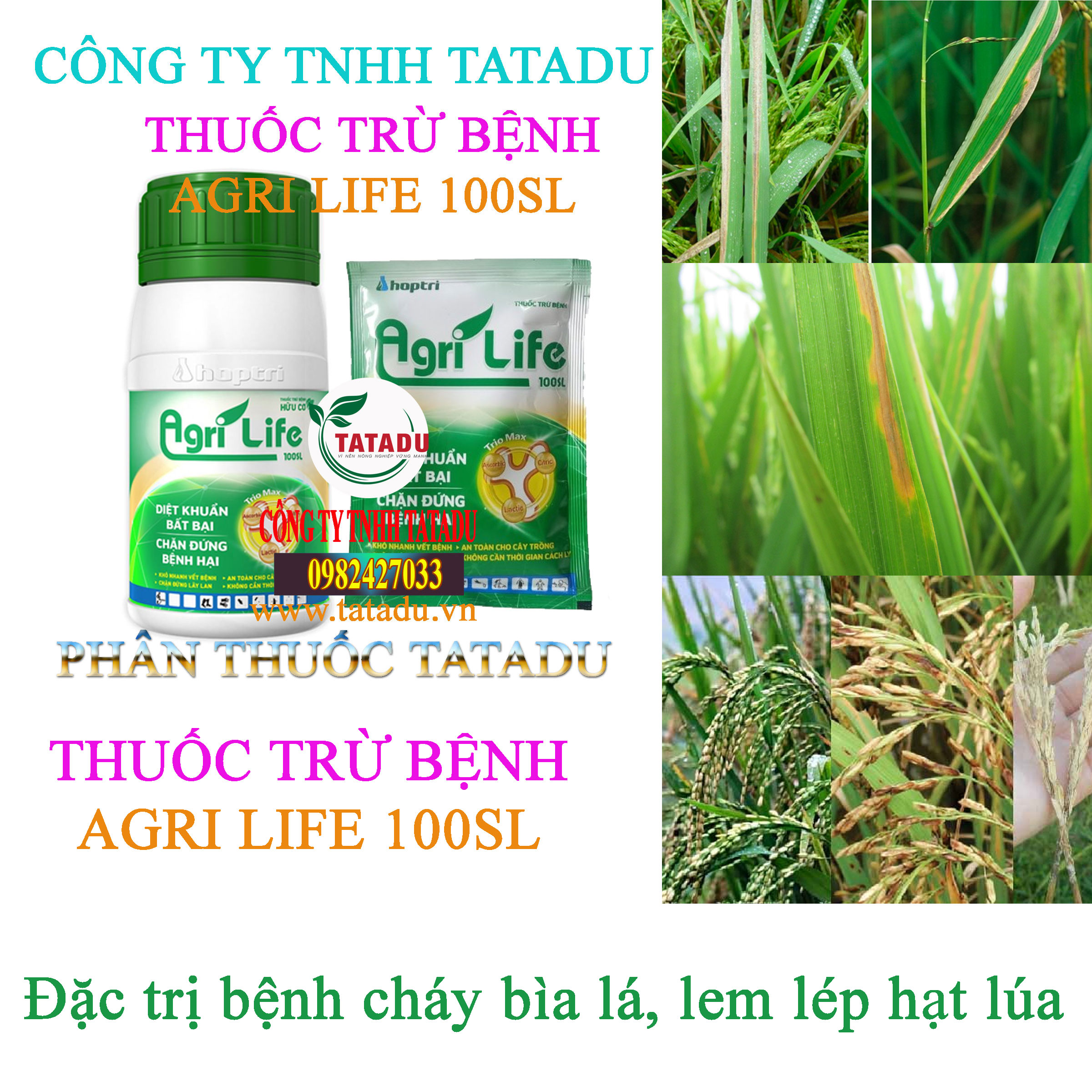 AGRI LIFE 100SL tru benh chay bia la AGRI LIFE 100SL tru benh chay bia la