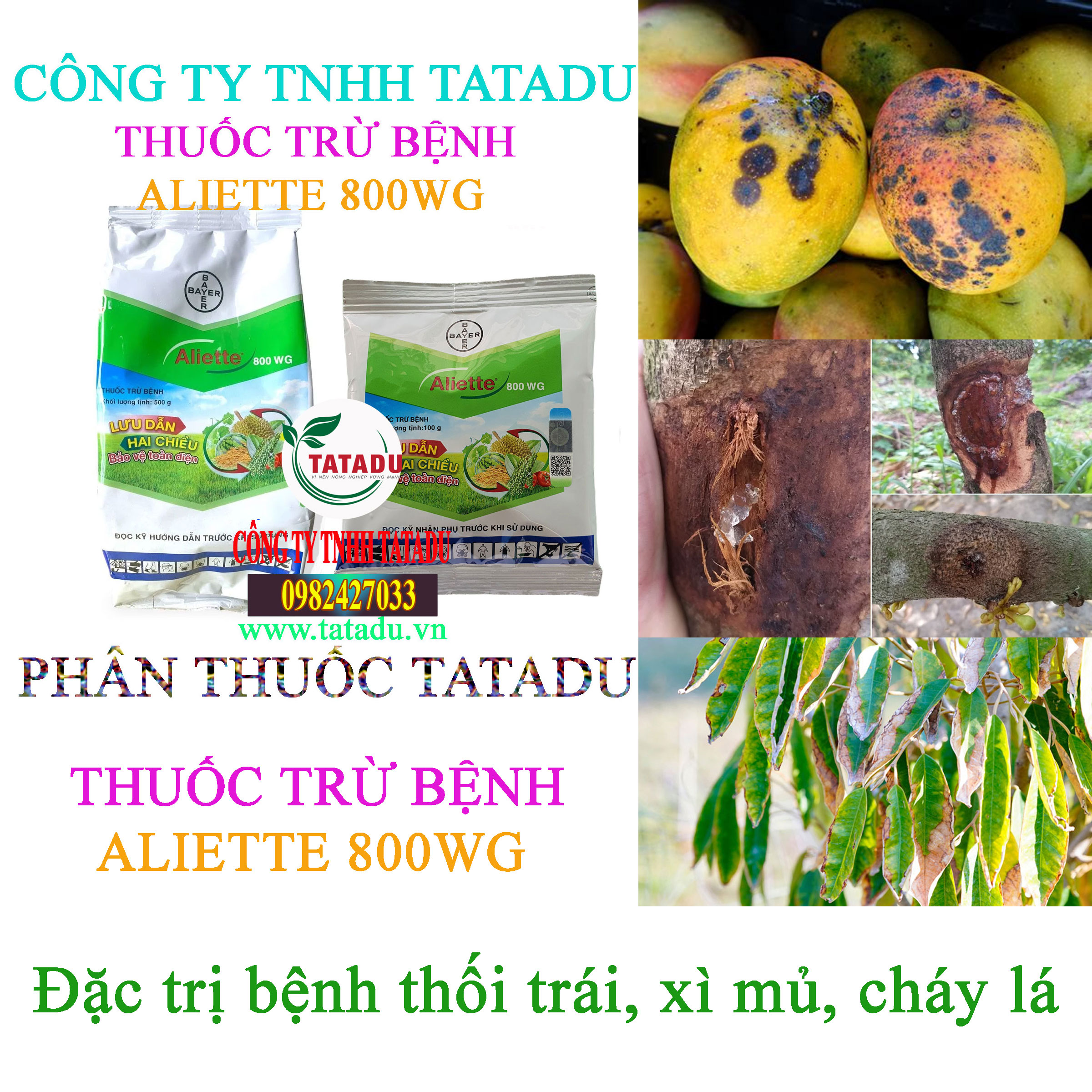 ALIETTE 800WG thoi trai ALIETTE 800WG thoi trai