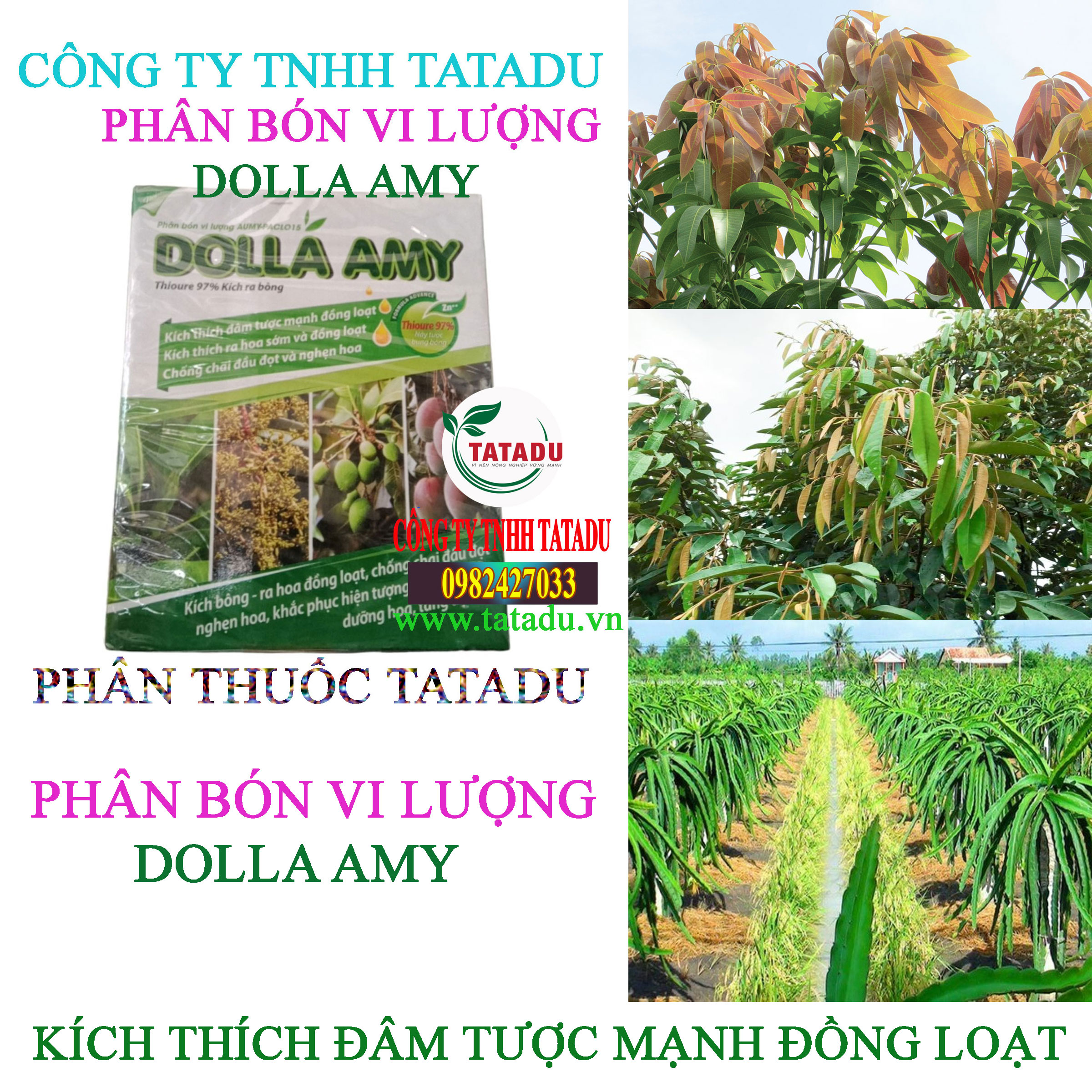 DOLLA AMY DAM TUOC DOLLA AMY DAM TUOC