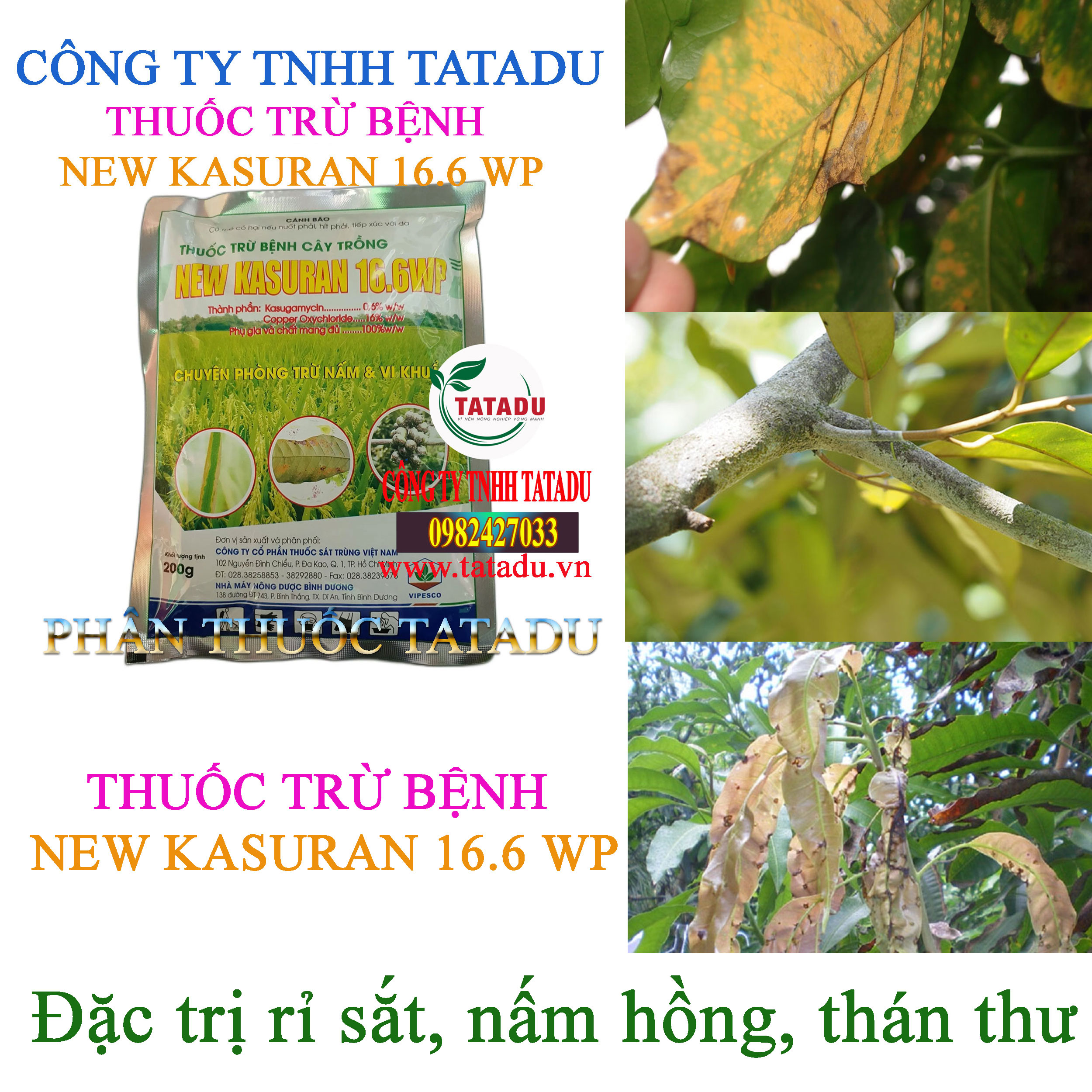 NEW KASURAN 16.6 WP tri ri sat NEW KASURAN 16.6 WP tri ri sat