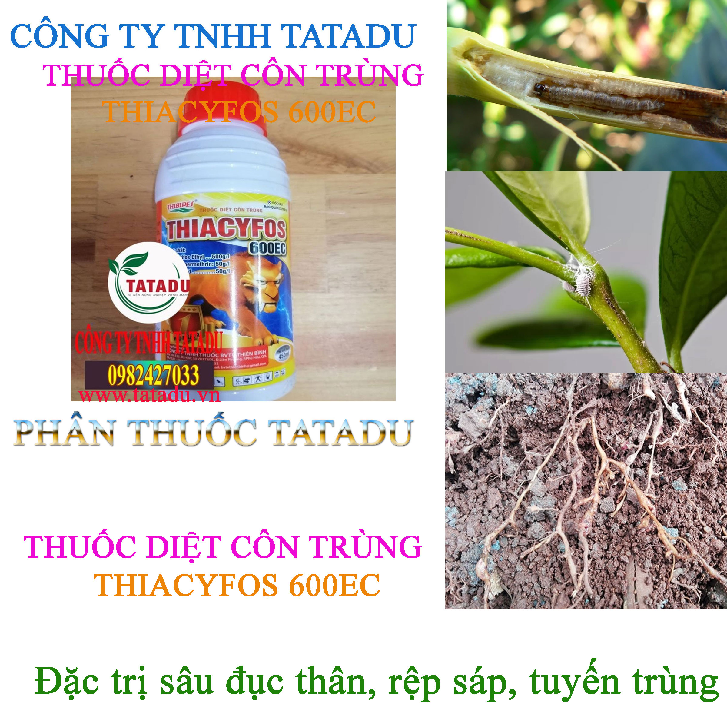 THIACYFOS 600EC tri sau duc than THIACYFOS 600EC tri sau duc than