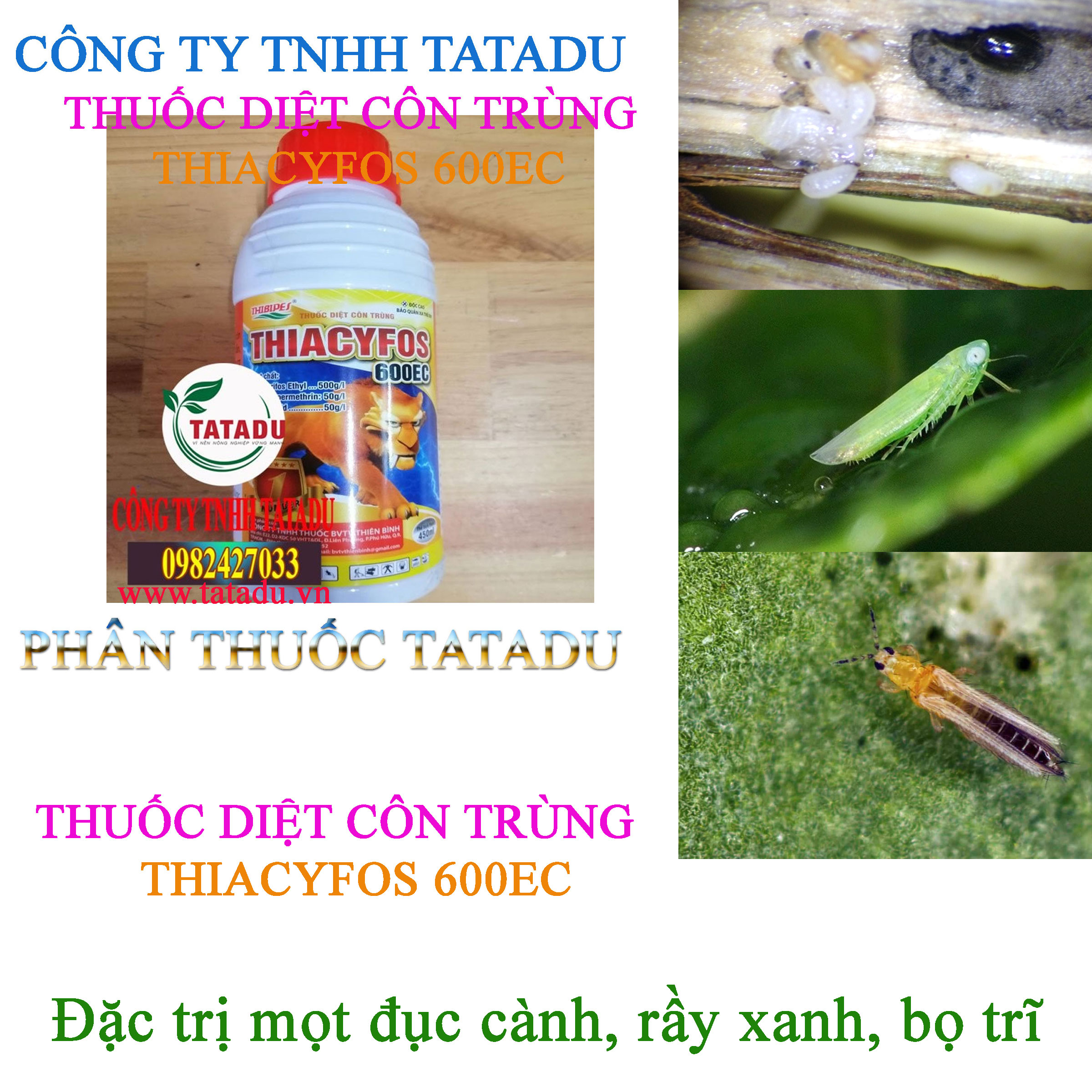 THIACYFOS 600EC tru mot duc canh THIACYFOS 600EC tru mot duc canh
