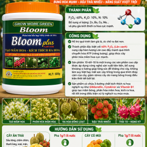 BLOOM PLUS