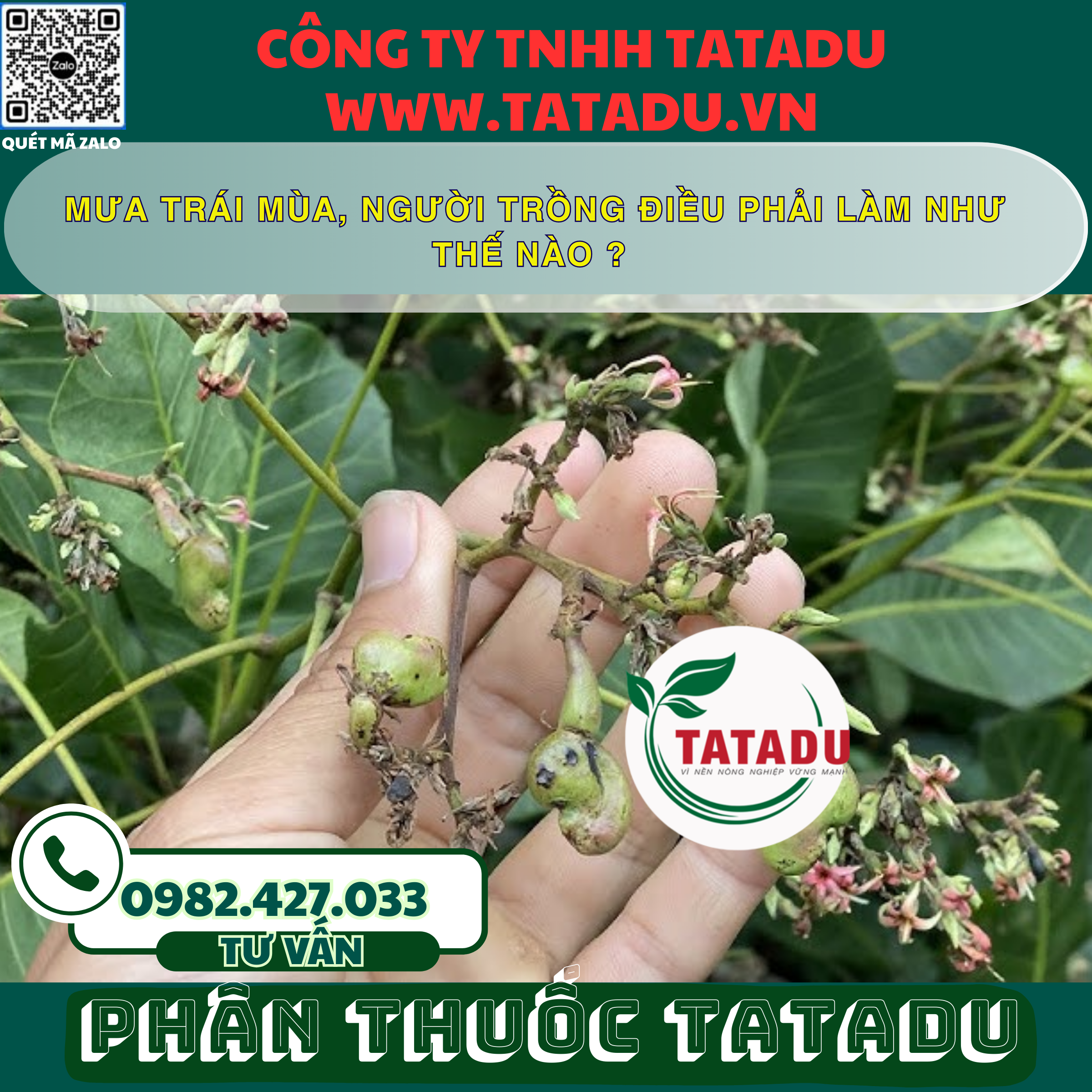 MUA TRAI MUA NGUOI TRONG DIEU PHAI LAM NHU THE NAO