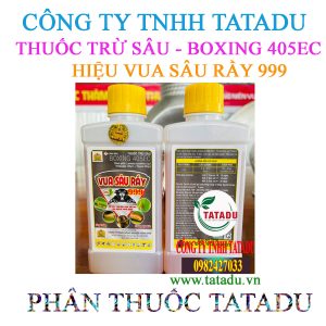 VUA SAU RAY 999