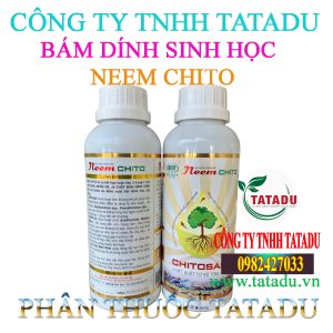 NEEM CHITO