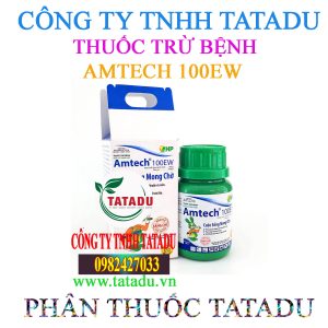 AMTECH 100EW