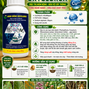 NANO DONG OXYCLORUA