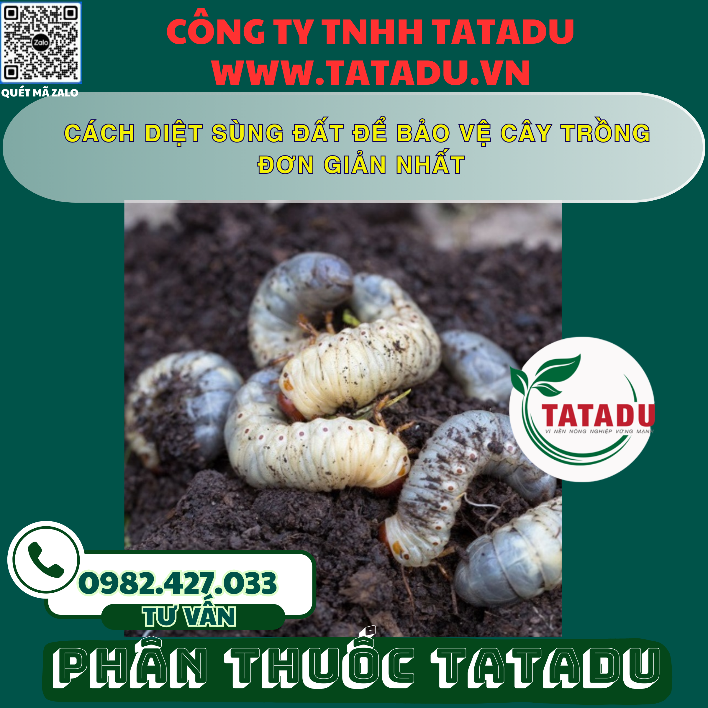 CACH DIET SUNG DAT DE BAO VE CAY TRONG DON GIAN NHAT