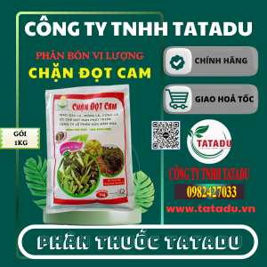 CHẶN ĐỌT CAM