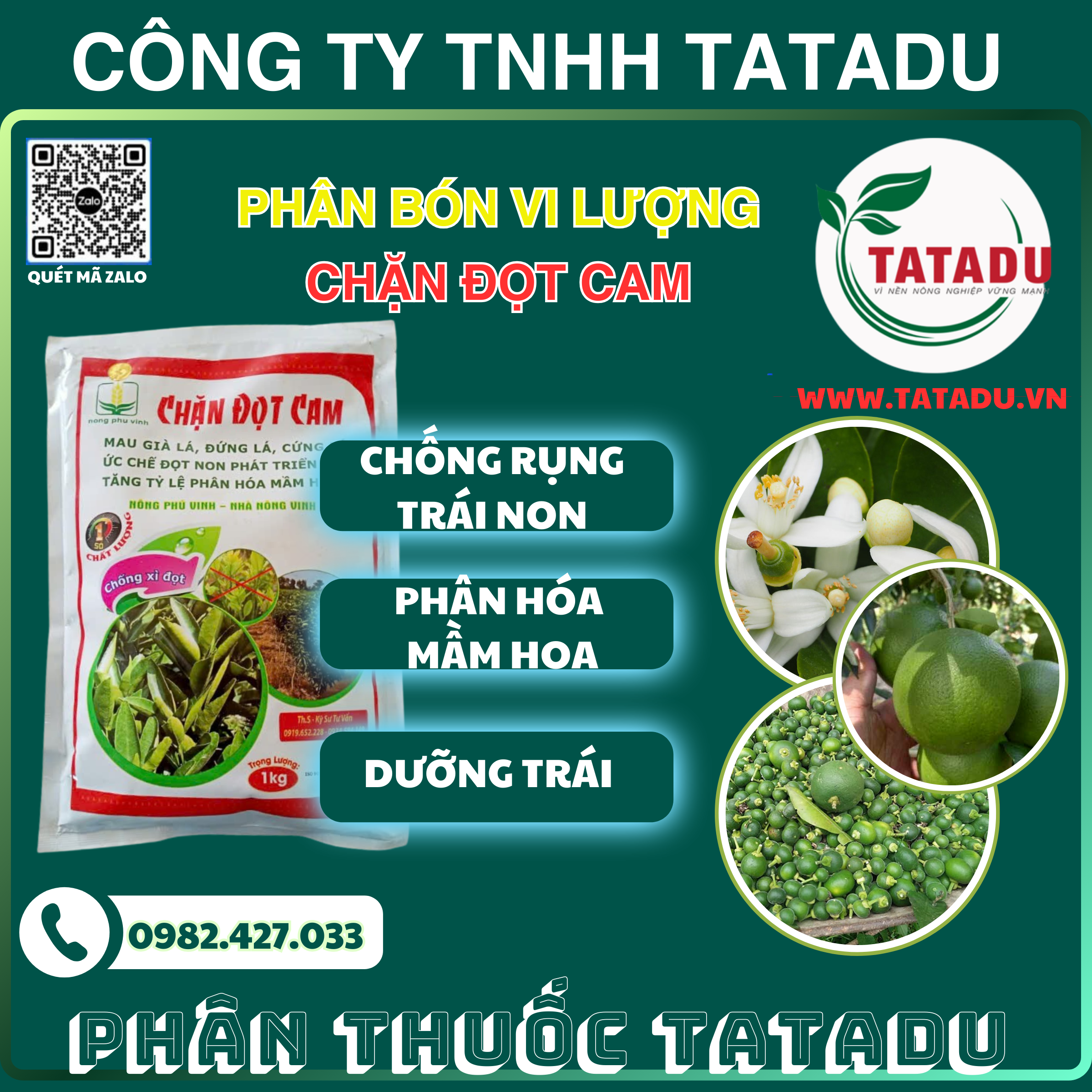 CHAN DOT CAM PHAN HOA MAM HOA CHONG RUNG TRAI NON DUONG TRAI CHAN DOT CAM PHAN HOA MAM HOA CHONG RUNG TRAI NON DUONG TRAI