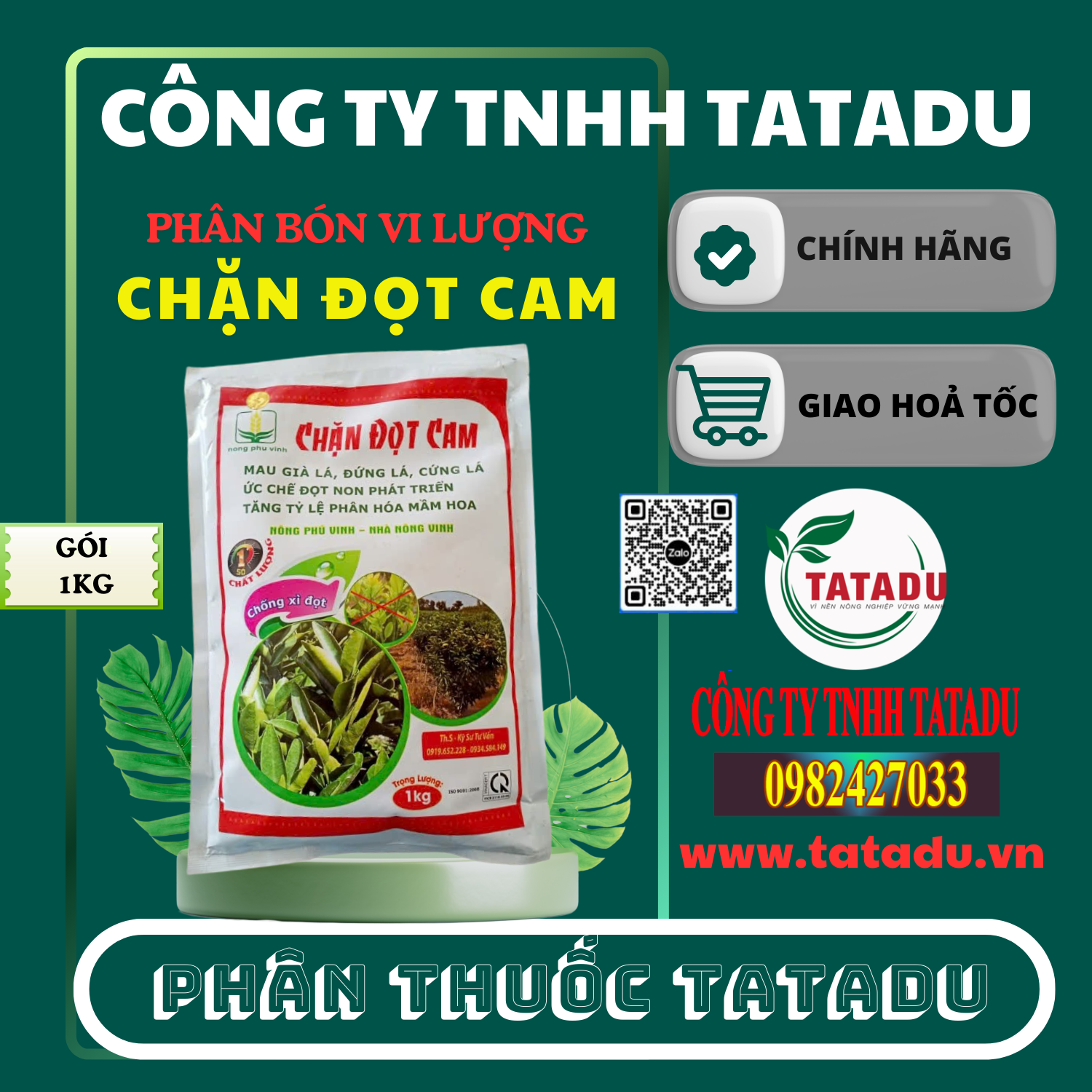 CHẶN ĐỌT CAM