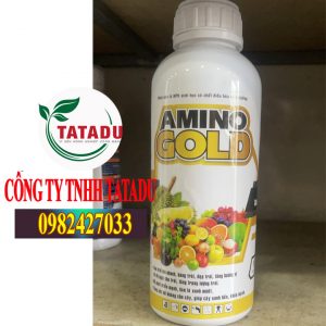AMINO GOLD