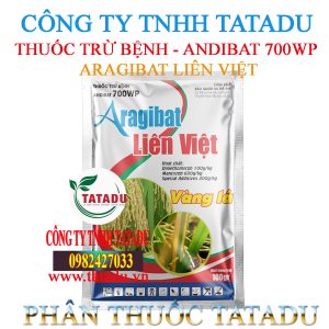 ARAGIBAT LIEN VIET