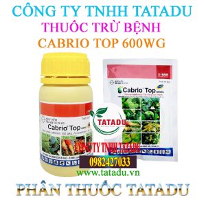 CABRIO TOP 600WG 1