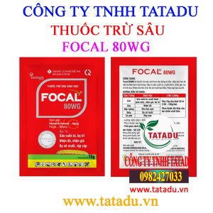 FOCAL 80WG 1
